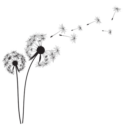 蒲公英相關的商用圖片素材集 123rf