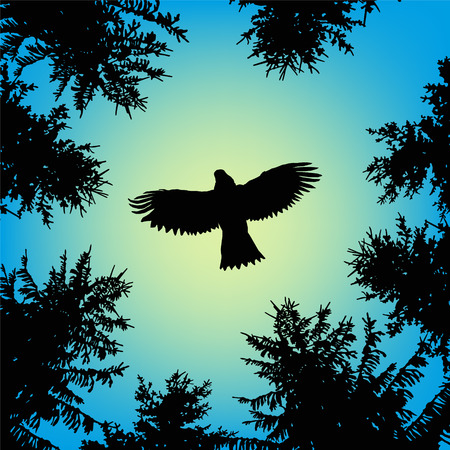 Belle silhouette daigle volant dans le ciel surr/éaliste Sweat /à Capuche
