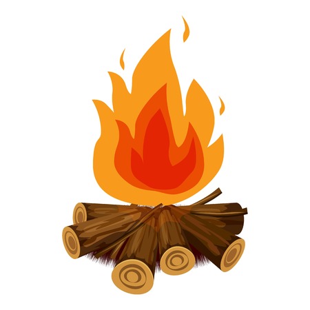 Image result for campfire pic