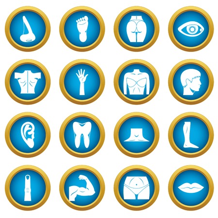 Body Parts Icons Blue Circle Set Royalty Free Cliparts, Vectors, And Stock Illustration. Image 84614618.