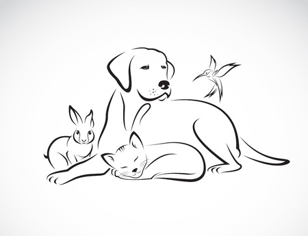 Kopek Vektorler Grafikleri Ve Cizim 123rf