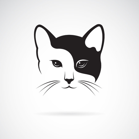 Vector image of an cat face design on white background.