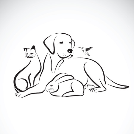 Vector group of pets on white background. Dog, Cat, Humming bird, Rabbit, Illustration