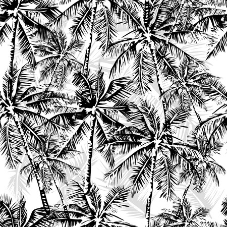 coconut: Dàn vector đơn sắc hoa văn nhiệt đới miêu tả cây cọ màu đen trên nền trắng