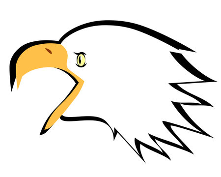 bald eagle is a sacred symbol of America Vector Illustration