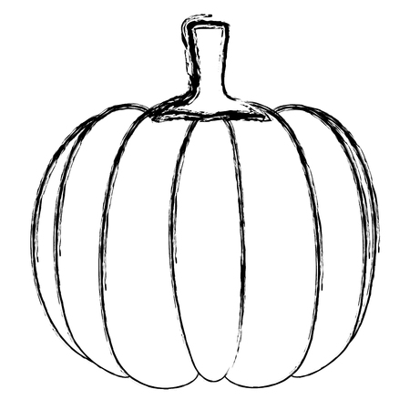 新鮮なカボチャの野菜アイコン ベクトル イラスト デザインのイラスト素材 ベクタ Image 0412