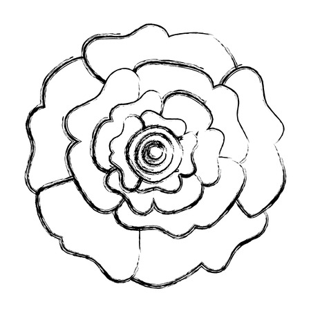 装飾的な自然のカーネーション花の上のビューベクトルイラストスケッチデザイン のイラスト素材 ベクタ Image 装飾的な自然のカーネーション花の上のビューベクトルイラストスケッチデザイン のイラスト素材 ベクタ Image