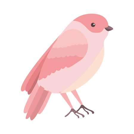 Cute Bird With Beautiful Plumage Vector Illustration Design