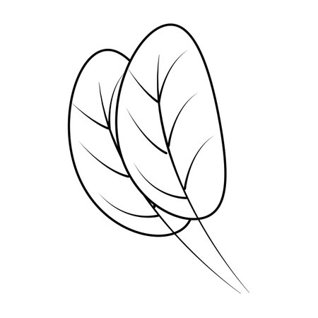 ispanak cizimi mehmet yasin 039 in