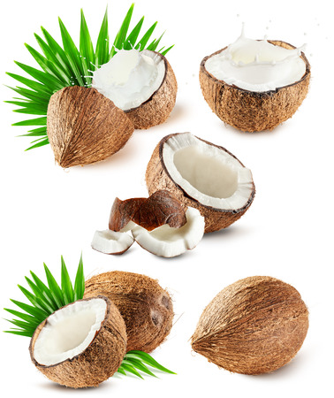 coconut: thiết dừa bị cô lập trên nền trắng.