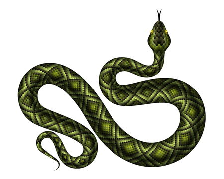 Realistic green python vector illustration. isolated tropical snake on white background