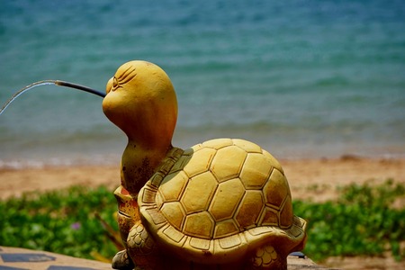 海カメ 背骨と冷たい爬虫類 肺が呼吸する使用されます 原始時代以来世界で起こった 水で人生の大半 卵を産むビーチに着陸します の写真素材 画像素材 Image