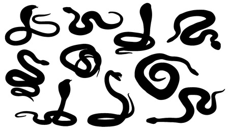 Snake silhouettes on the white background