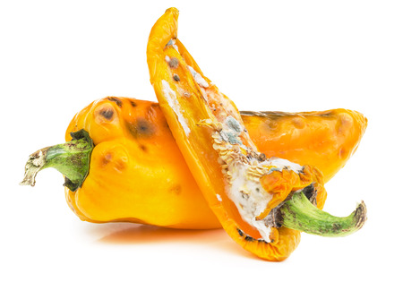 腐った黄色ピーマン白い背景に分離されました カビの生えた野菜 の写真素材 画像素材 Image 腐った黄色ピーマン白い背景に分離されました カビの生えた野菜 の写真素材 画像素材 Image