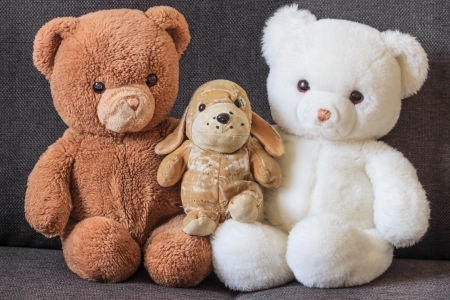 cute old teddy bears and dog on couch three