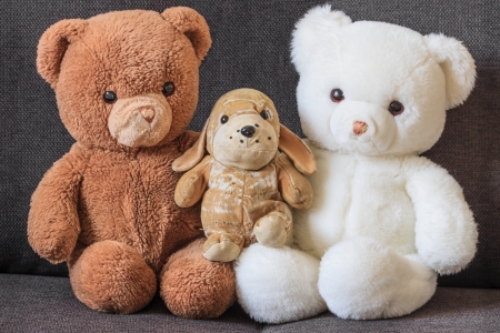 Cute old teddy bears and dog on couch three