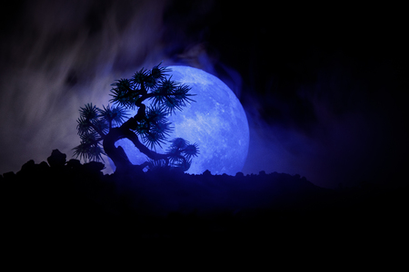 Silhouette Tree On Full Moon Background Full Moon Rising Above Stock Photo Picture And Royalty Free Image Image 98020171