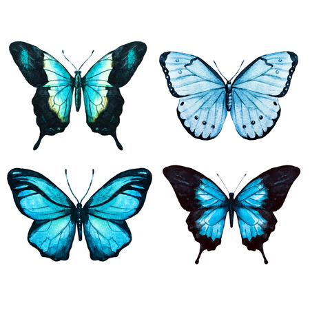 butterfly: Hình ảnh raster đẹp với những con bướm màu nước đẹp Kho ảnh