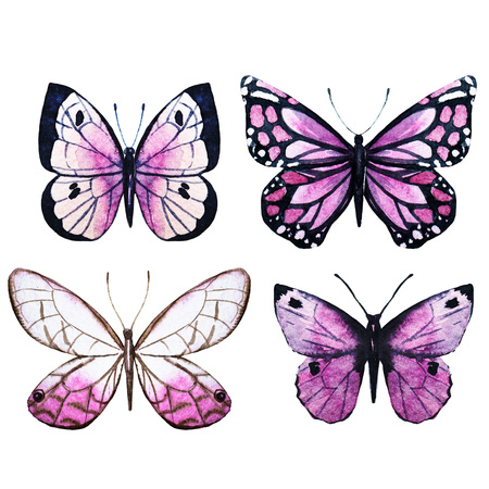 butterfly: Hình ảnh raster đẹp với những con bướm màu nước đẹp Kho ảnh