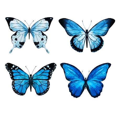 butterfly: hình ảnh vector đẹp với những con bướm màu nước đẹp Hình minh hoạ