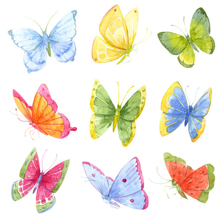 butterfly: hình ảnh đẹp với nhiều loài bướm màu nước đầy màu sắc Kho ảnh