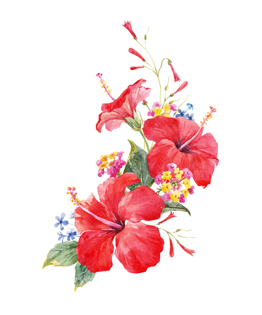 超新作】 ハイビスカス。画家の作品、古典画水彩。｜絵画 絵画