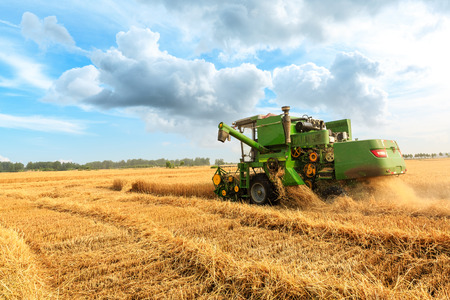 Combine harvester harvesting wheat on sunny summer day - 123820581