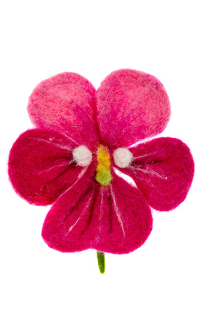 白い背景で隔離の花びらで目に見える静脈と美しい紫ゼラニウムの花 の写真素材 画像素材 Image