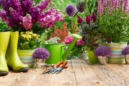 Gardening tools and flowers on the terrace in the garden Фото со стока