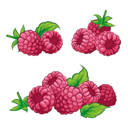 34 453 ラズベリー のイラスト素材 ベクター 123rf 34 453 ラズベリー のイラスト素材 ベクター 123rf