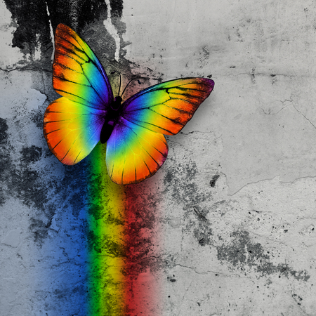 butterfly: cầu vồng bướm sáng trên tường nhà chứa lúa đơn sắc Kho ảnh