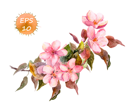 Pink fruit tree flower: apple cherry plum sakura. Watercolor vector isolated - 48484240