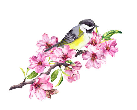 椿のピンクの花を持つ鳥を飲み込む。水彩イラスト。春に咲く椿を持つ